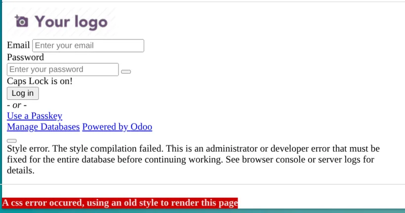 Odoo 19: "A css error occured, using an old style to render this page"